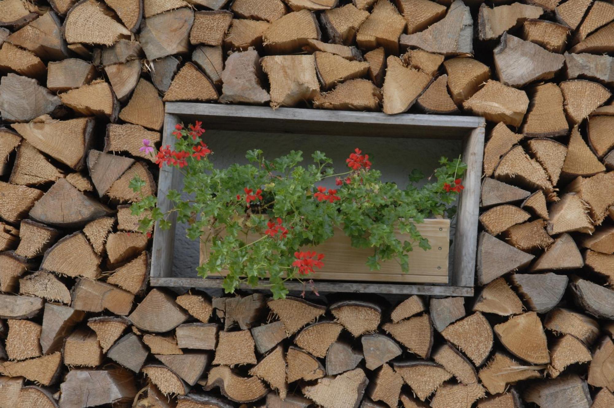 Gaestehaus Alte Bergmuehle Fischbachau Exteriér fotografie